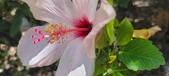 Enlarge photo 50