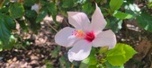 Enlarge photo 57