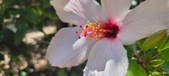 Enlarge photo 56