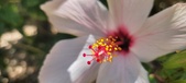 Enlarge photo 55