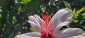Enlarge photo 54