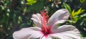 Enlarge photo 61