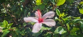 Enlarge photo 60