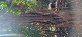 Enlarge photo 58
