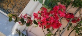 Enlarge photo 63