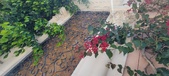 Enlarge photo 62