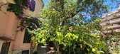 Enlarge photo 68