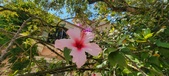 Enlarge photo 67