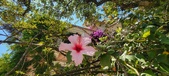 Enlarge photo 73