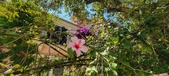 Enlarge photo 71