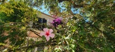 Enlarge photo 70