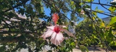 Enlarge photo 77