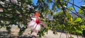 Enlarge photo 76