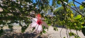 Enlarge photo 75