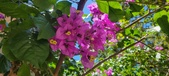 Enlarge photo 81