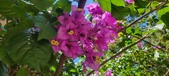 Enlarge photo 80