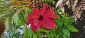 Enlarge photo 85