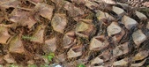 Enlarge photo 84