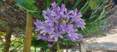 Enlarge photo 83
