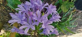 Enlarge photo 82