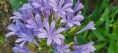 Enlarge photo 88