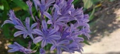 Enlarge photo 87
