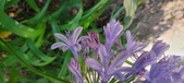Enlarge photo 86