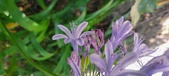 Enlarge photo 91
