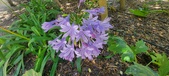 Enlarge photo 92