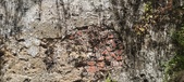 Enlarge photo 94