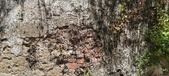 Enlarge photo 95