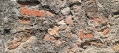 Enlarge photo 99