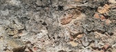 Enlarge photo 100