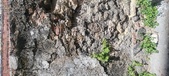 Enlarge photo 107