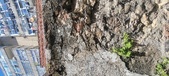 Enlarge photo 108
