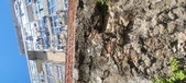 Enlarge photo 109