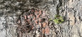 Enlarge photo 123