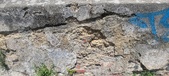 Enlarge photo 125