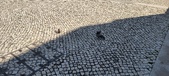 Enlarge photo 130