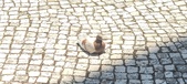 Enlarge photo 128
