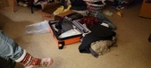 Enlarge photo 21