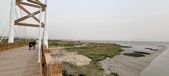 Enlarge photo 95
