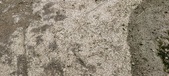 Enlarge photo 97