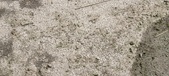 Enlarge photo 99