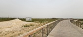 Enlarge photo 107