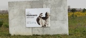 Enlarge photo 108