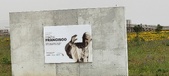 Enlarge photo 109