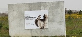 Enlarge photo 110