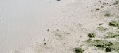 Enlarge photo 115