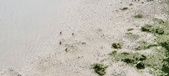 Enlarge photo 116